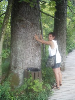 Spontaniczne powitanie z drzewem, Plitwice, Chorwcja. Sierpień 2003 r